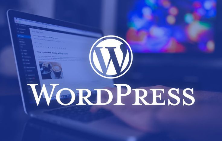 Remove Unused WordPress Plugins